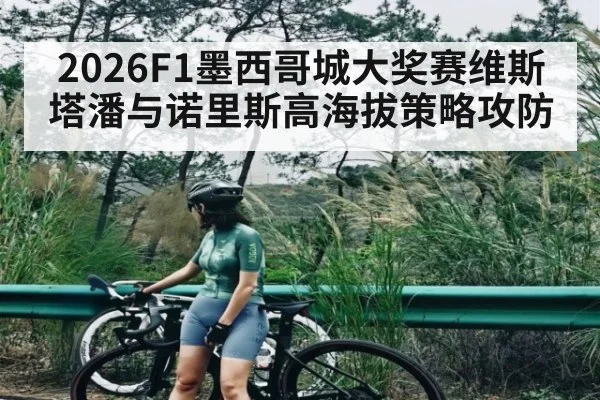 2026F1墨西哥城大奖赛维斯塔潘与诺里斯高海拔策略攻防